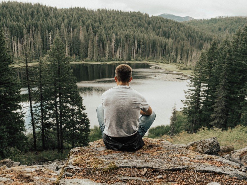 MAN IN THE FOREST